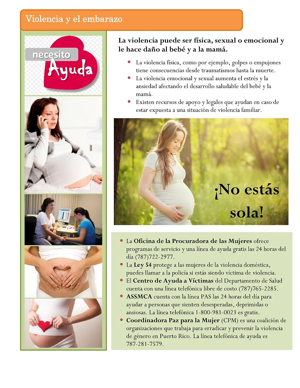 Violencia en el embarazo